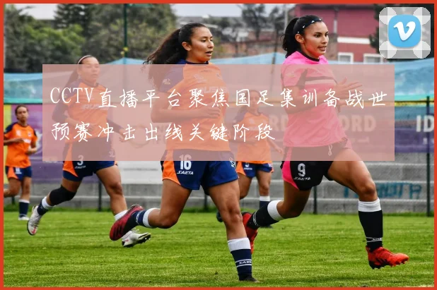 CCTV直播平台聚焦国足集训备战世预赛冲击出线关键阶段