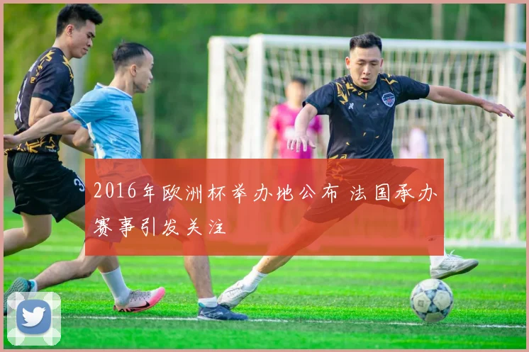 2016年欧洲杯举办地公布 法国承办赛事引发关注