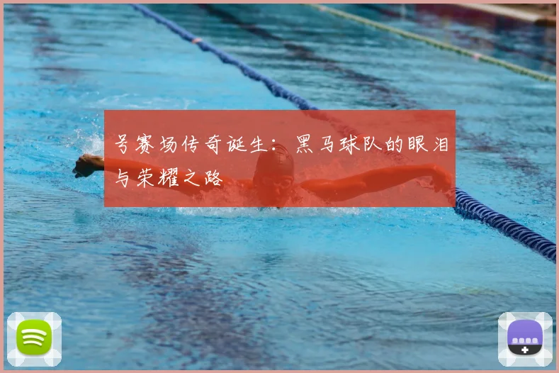 号赛场传奇诞生：黑马球队的眼泪与荣耀之路