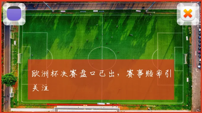 欧洲杯决赛盘口已出,赛事赔率引关注