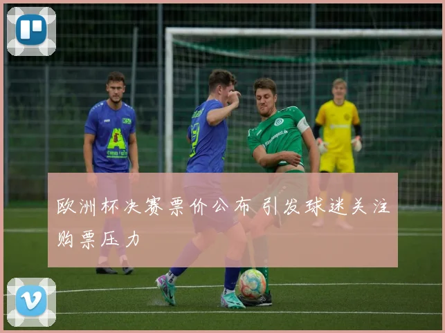 欧洲杯决赛票价公布 引发球迷关注购票压力