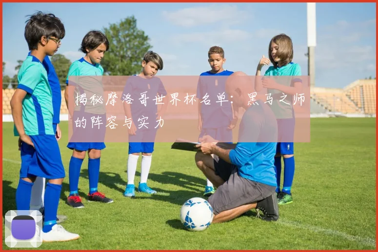 揭秘摩洛哥世界杯名单:黑马之师的阵容与实力