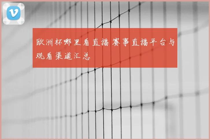 欧洲杯哪里看直播 赛事直播平台与观看渠道汇总