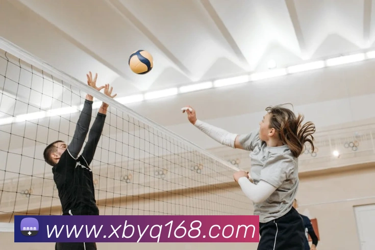 世界杯app官网平台生态图